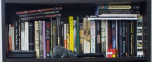 Shelf One third Shelf bookshelf-2193