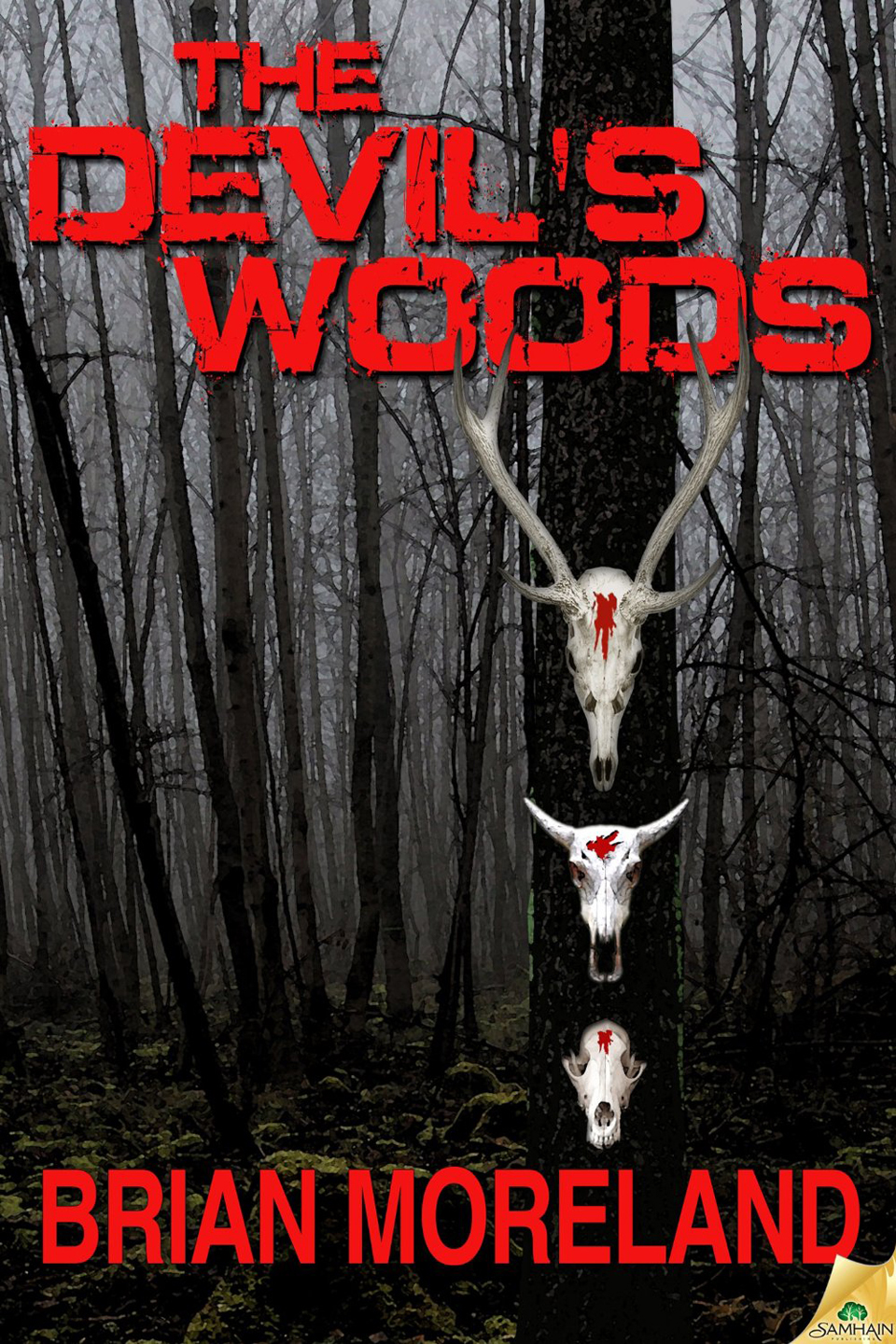 The Devil’s Woods Book Review